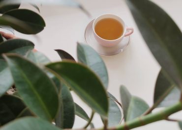 Herbaty Oolong